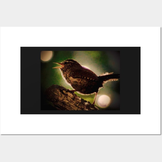 WREN IN THE TWILIGHT DO AS THE ROMANS DO Wall Art by dumbodancer